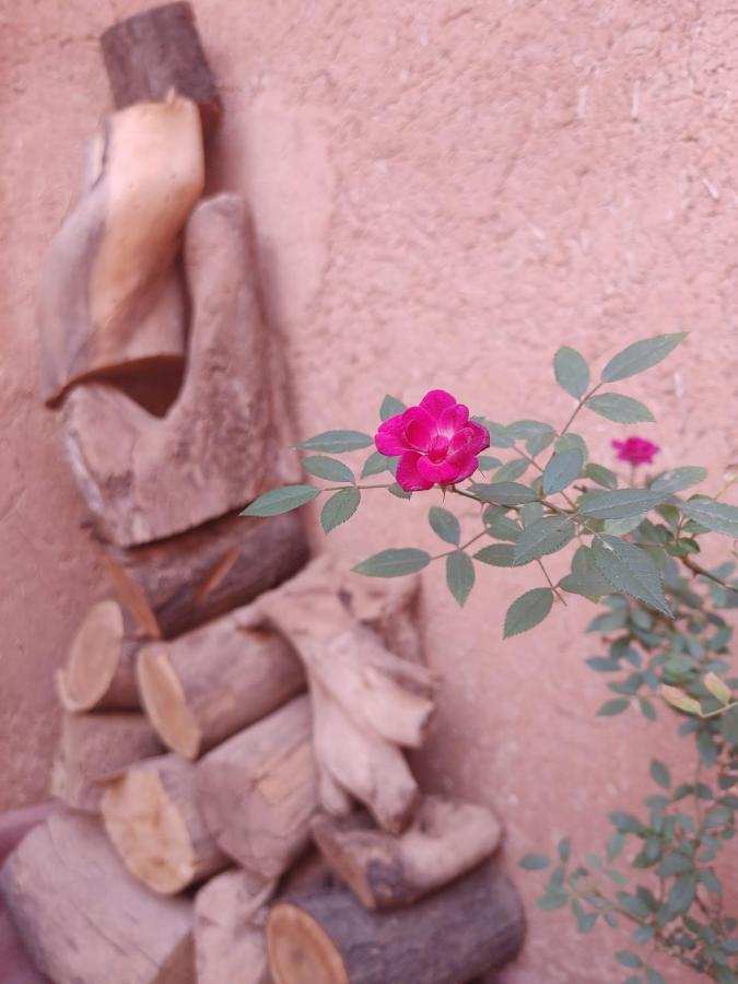 Bed and Breakfast Les Jardins Du M'Goun Kelaat-M'Gouna Exterior foto